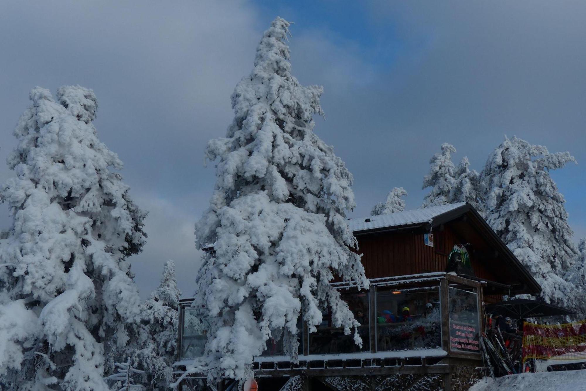 Ferienresidenz An Der Bode, Wohnung 1 Braunlage Kültér fotó
