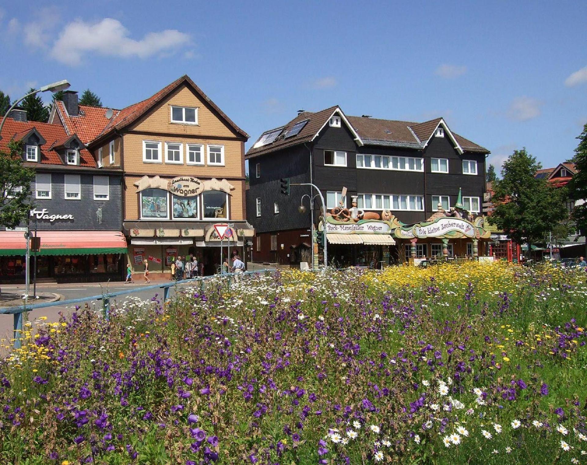 Ferienresidenz An Der Bode, Wohnung 1 Braunlage Kültér fotó